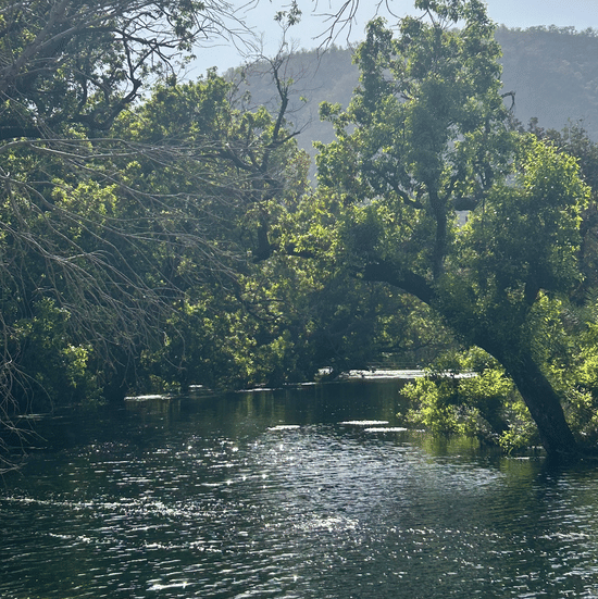 River at Surya Bagh