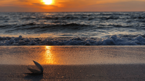 Sunset at Radhanagar Beach