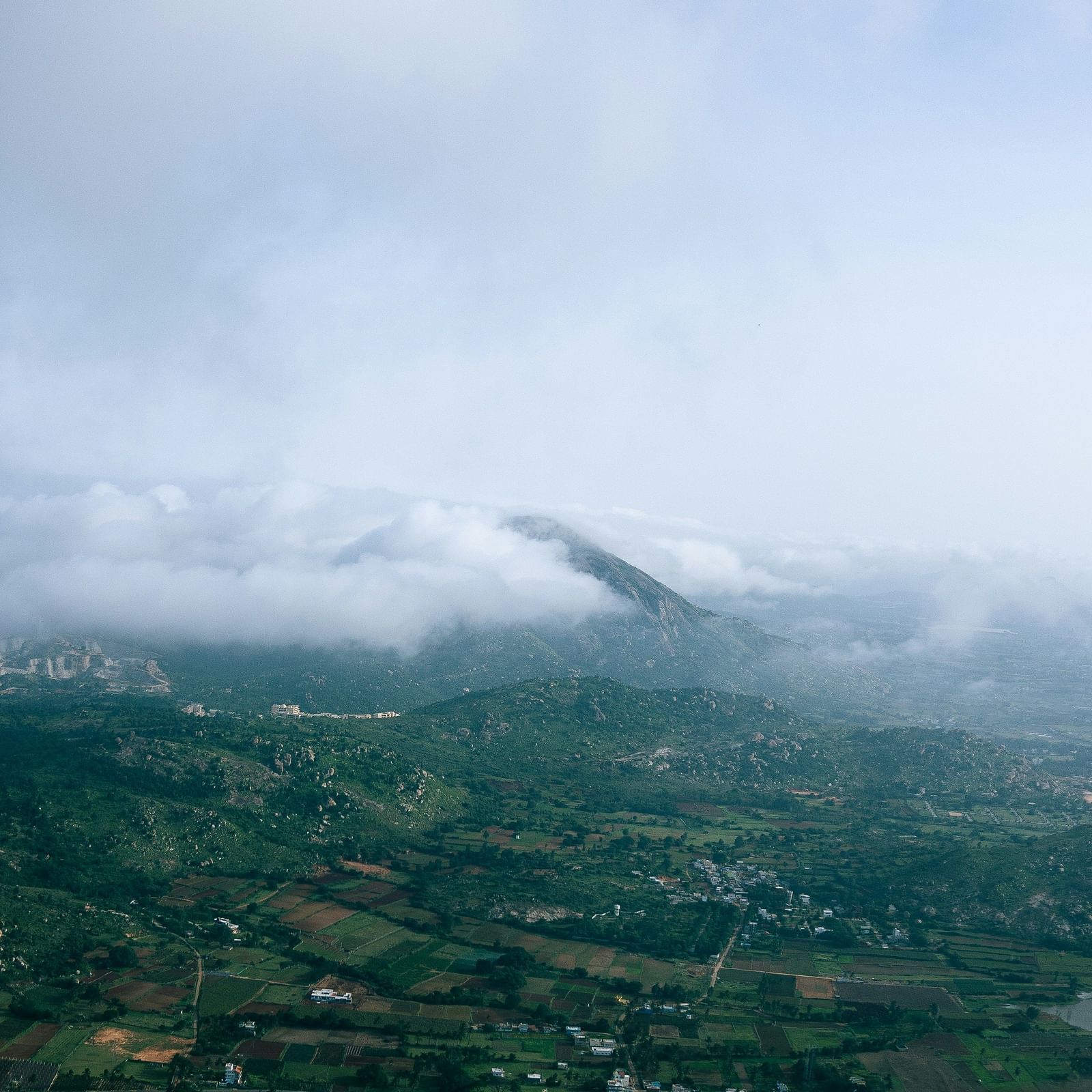 mist covering a lush hill