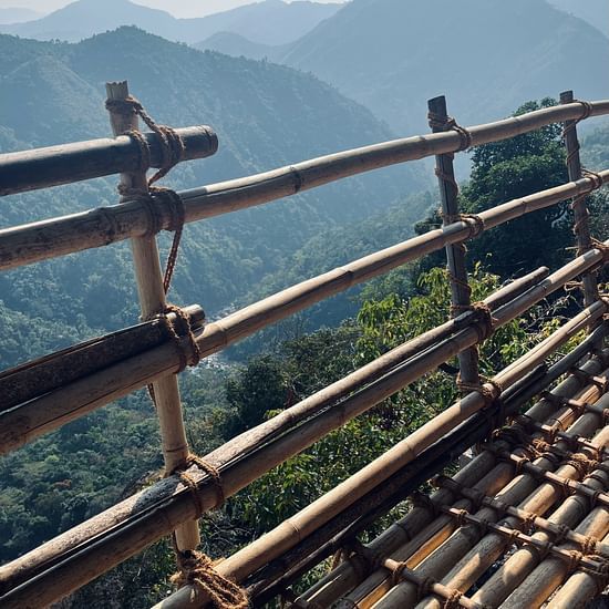 an overview of bamboo barricades in the bamboo trail with mountains in the background