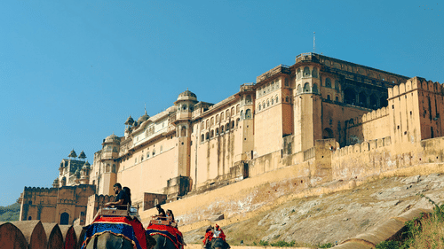 A wide-angle, low-angle shot of the golden Amer Fort with elephants carrying people walking up the hill in the foreground.