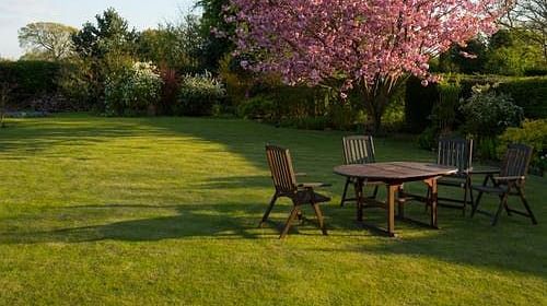 Lawn Garden