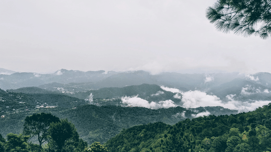 A view of mist-covered mountains and lush green forests on a cloudy day.