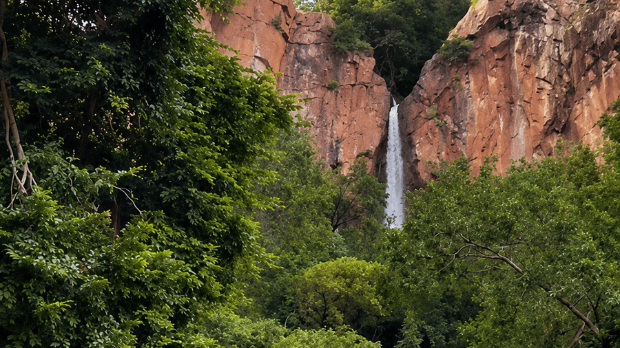 Parashar Waterfall-Surya Bagh Ajabgarh-Excursions