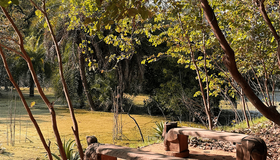 Fishing at Surya Bagh, Experiences