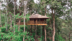 Tranquil Full Res 2 3 of 8