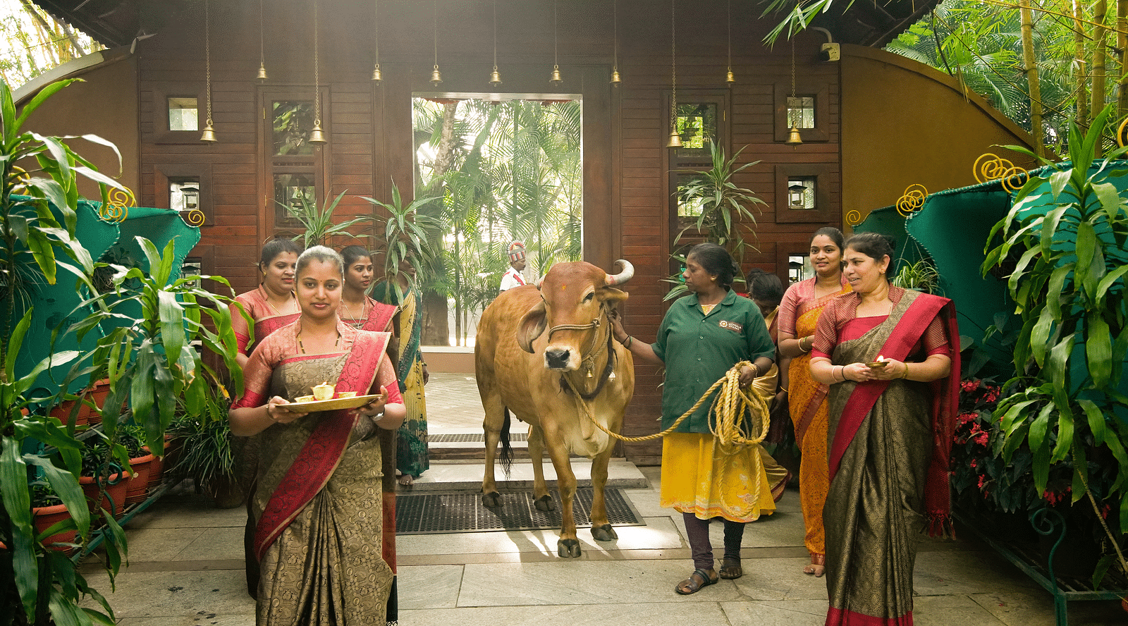 An overview of the staff worshipping the divine cow at hoysala village resort, hassan.