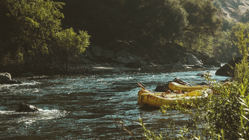 dane-deaner-350305-unsplash