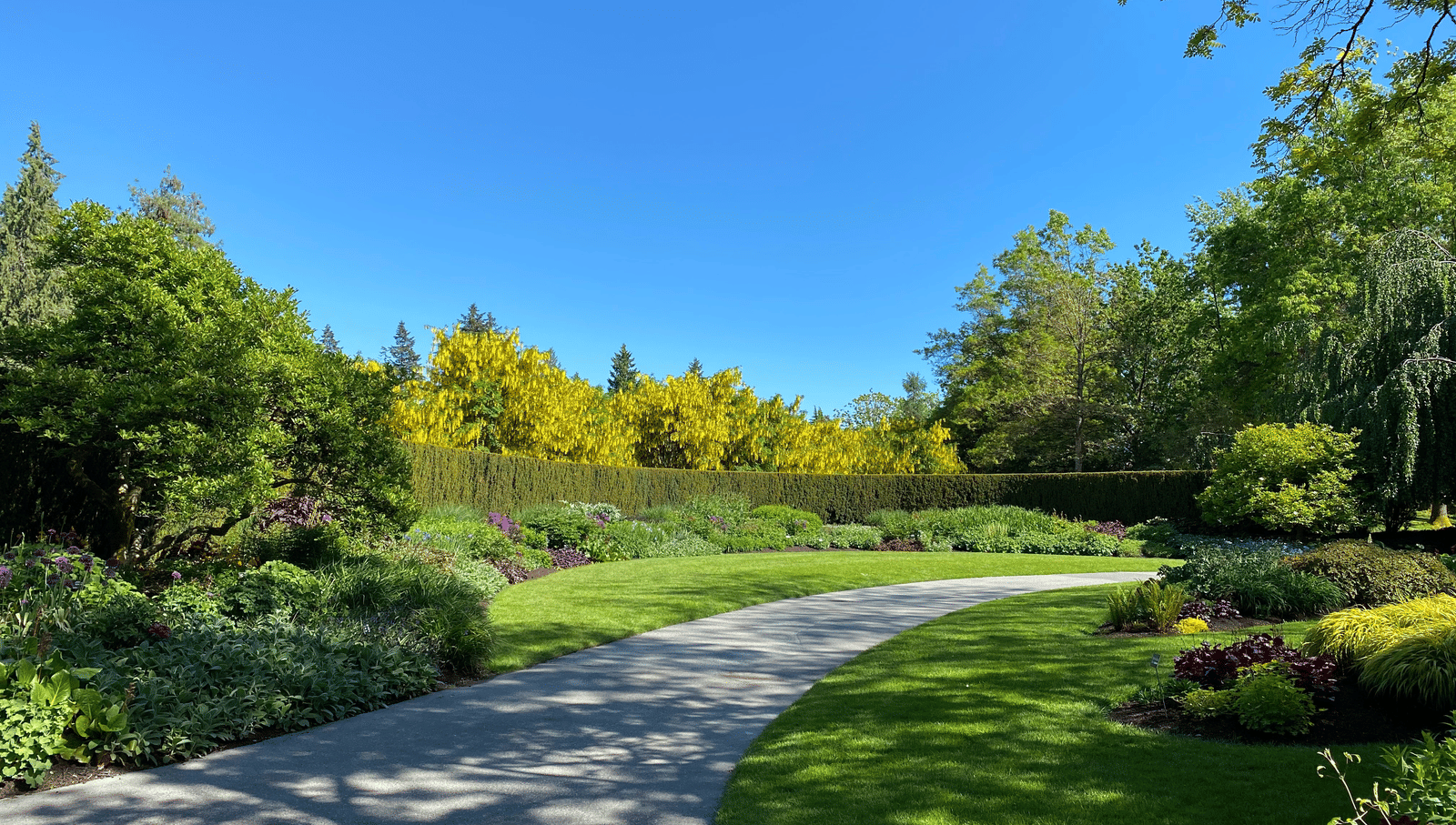 Image of a beautiful lawn and a path in it surrounded by greenery on both sides