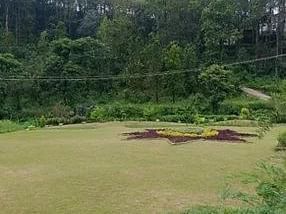 lawn