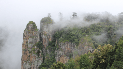 A far out view of Pillar Rocks covered by mist and vegetation.