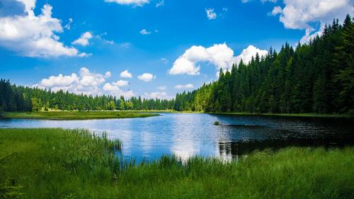 image of a lake with a clear backdrop of a blue sky and lush green grass in the foreground