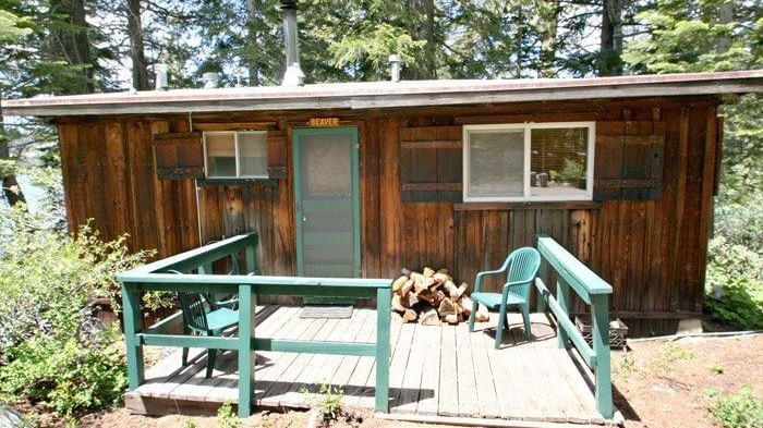 A wooden cabin with a trimmed door and porch amidst a dense forest. - Kit Carson Lodge