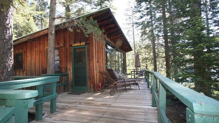 A rustic cabin with a door nestled among tall trees. - Kit Carson Lodge
