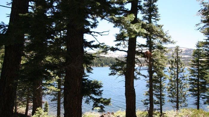 Kit Carson Lodge featuring a serene lake surrounded by tall pine trees against a backdrop of distant mountains.