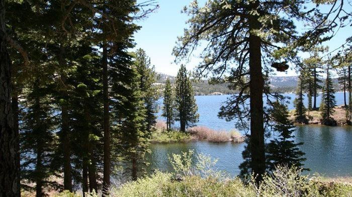 A lake view framed by lush trees, with a distant mountain range under a clear sky. - Kit Carson Lodge & Restaurant 
