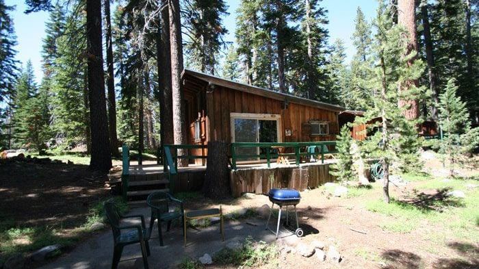 A rustic wooden cabin with a slanted roof sits nestled among tall pine trees. - Kit Carson Lodge