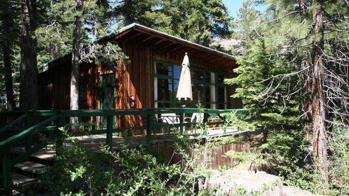 A rustic cabin with a slanted roof among tall trees, featuring a wooden deck with an umbrella . - Kit Carson Lodge