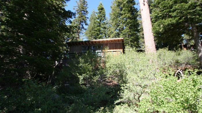 A small cabin, partially obscured by lush green foliage and tall trees. - Kit Carson Lodge