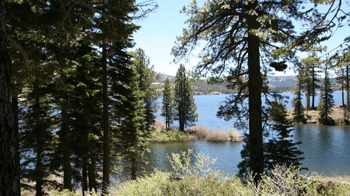 A lake view framed by lush trees, with a distant mountain range under a clear sky. - Kit Carson Lodge & Restaurant 