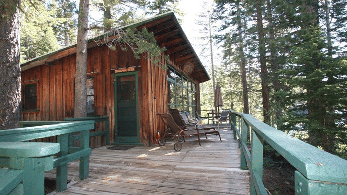 A rustic cabin with a door nestled among tall trees. - Kit Carson Lodge