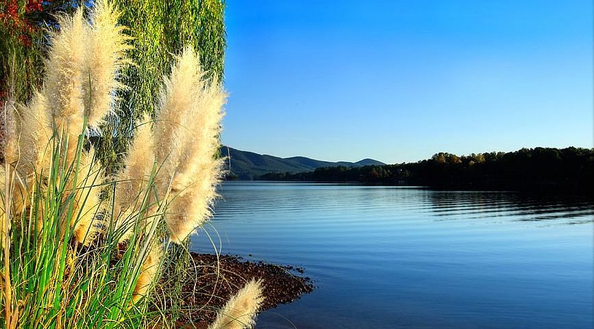 jammu