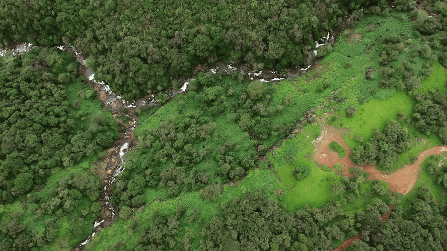 Lush forest landscape of the Khandala Hill Station featuring a winding stream flowing through dense greenery and open clearings.