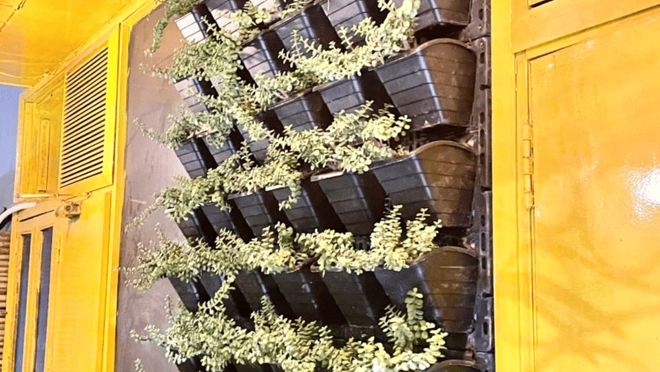 Greater Kailash Guest House