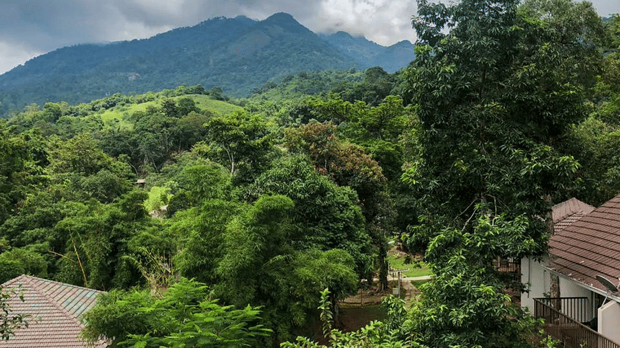 A view of a green landscape features trees and a cloudy sky.
