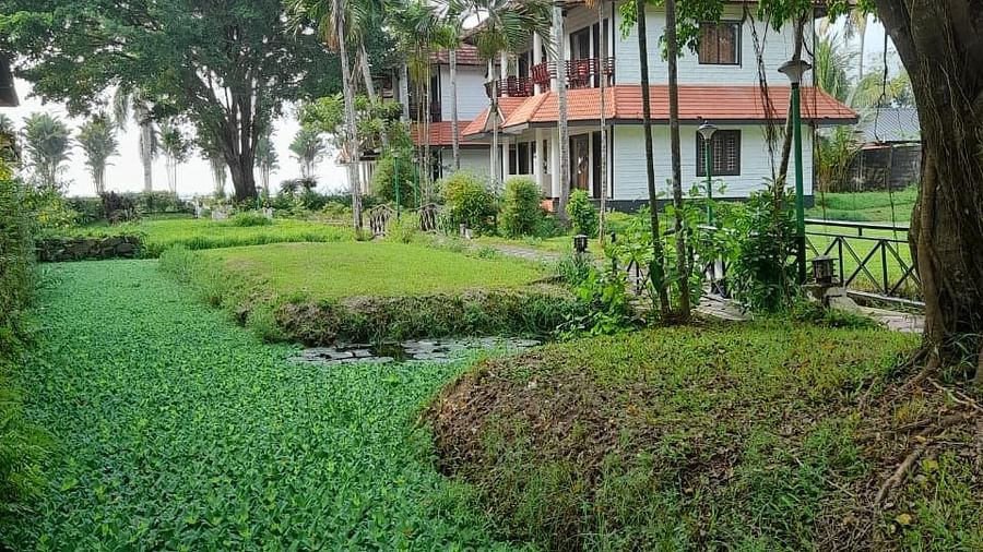 well-landscaped garden - Doves Goldfieldd Lake resort