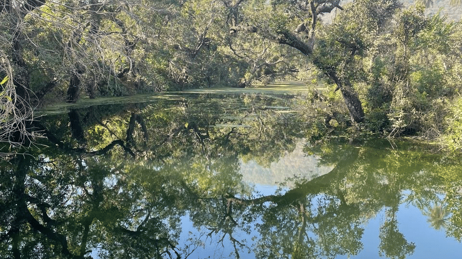 River - Surya Bagh Ajabgarh