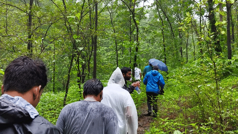A group of people walking up a hill, with lush green surroundings and tall canopy.