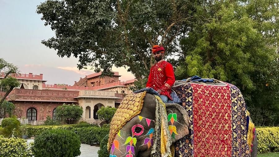 A man dressed in traditional attire pose beside a decorated elephant on a lush green lawn - Khas Bagh Jaipur.