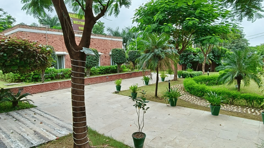 A view of a paved outdoor seating area featuring a large tree with green foliage surrounded by a patch of green grass, set within a park-like environment | Nandan Resort
