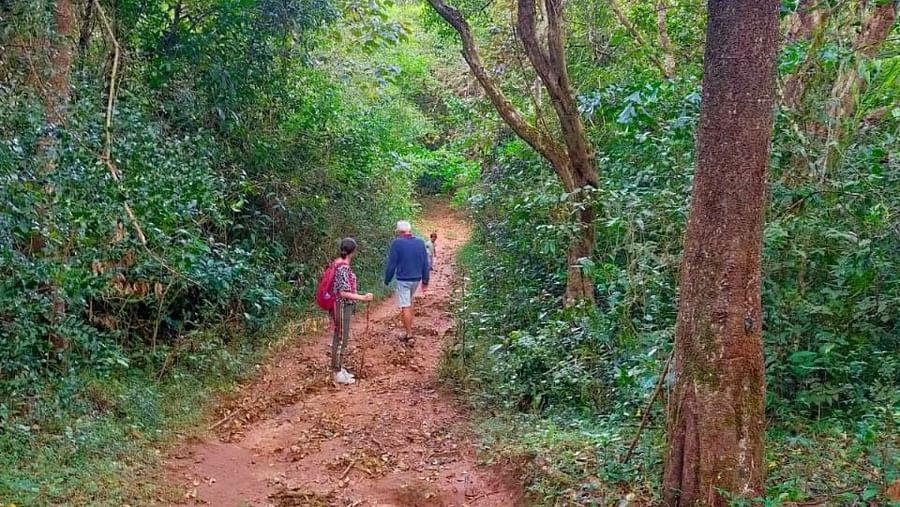 Nature Trail