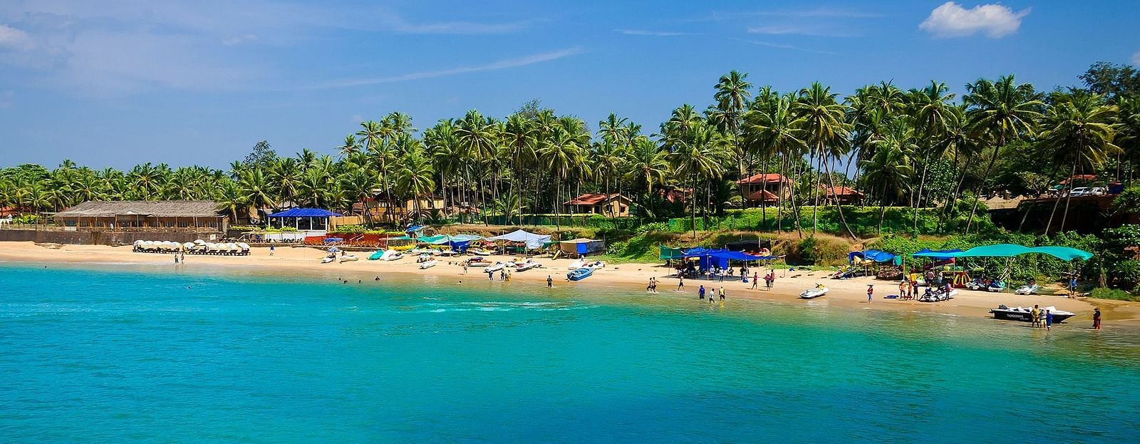 aerial view of a beach with trees in the background