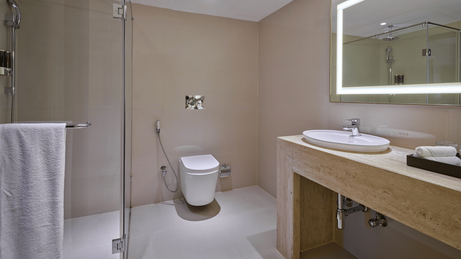 Room  Family Suite bath