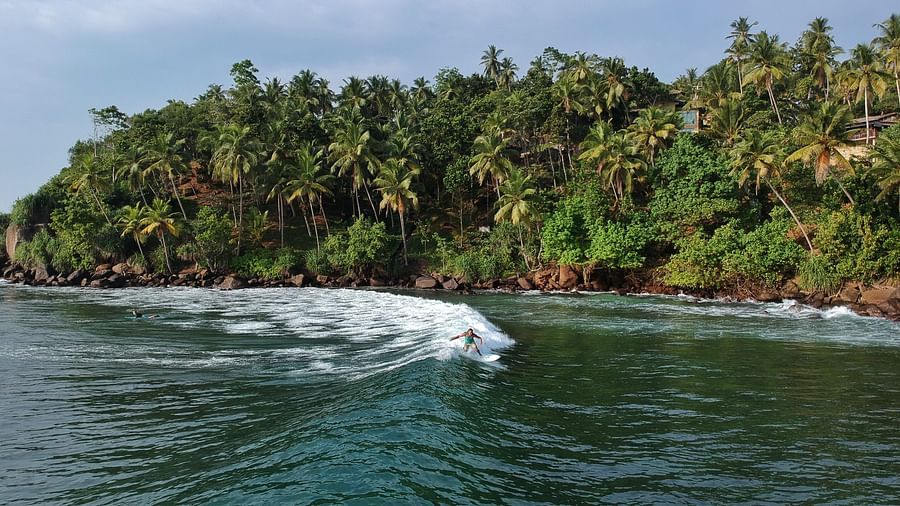 waves travelling to towards the shore with a forest in the background