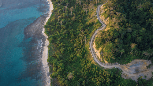 Aerial shot of Andaman and Nicobar Islands showing lush greenery and a strip of beach separating land from sea