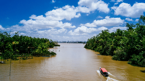 Houseboat journey on the tranquil waters of Kabini Backwaters, surrounded by lush greenery.