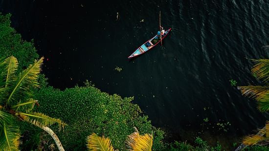 A small, colourful boat with a person paddling on dark water, bordered by lush green tropical vegetation.