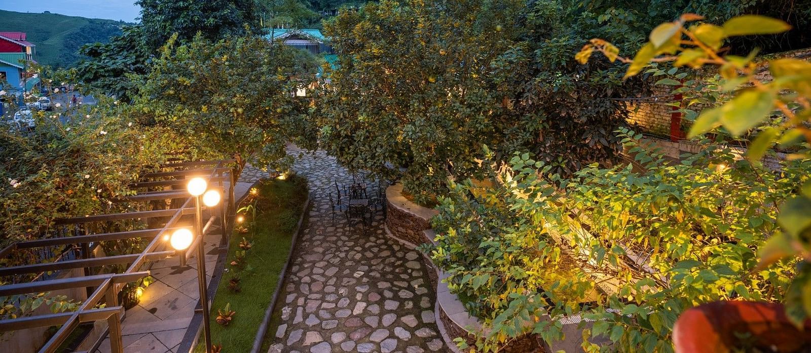 a path way framed by trees and vibrant plants on either side along with strret lights