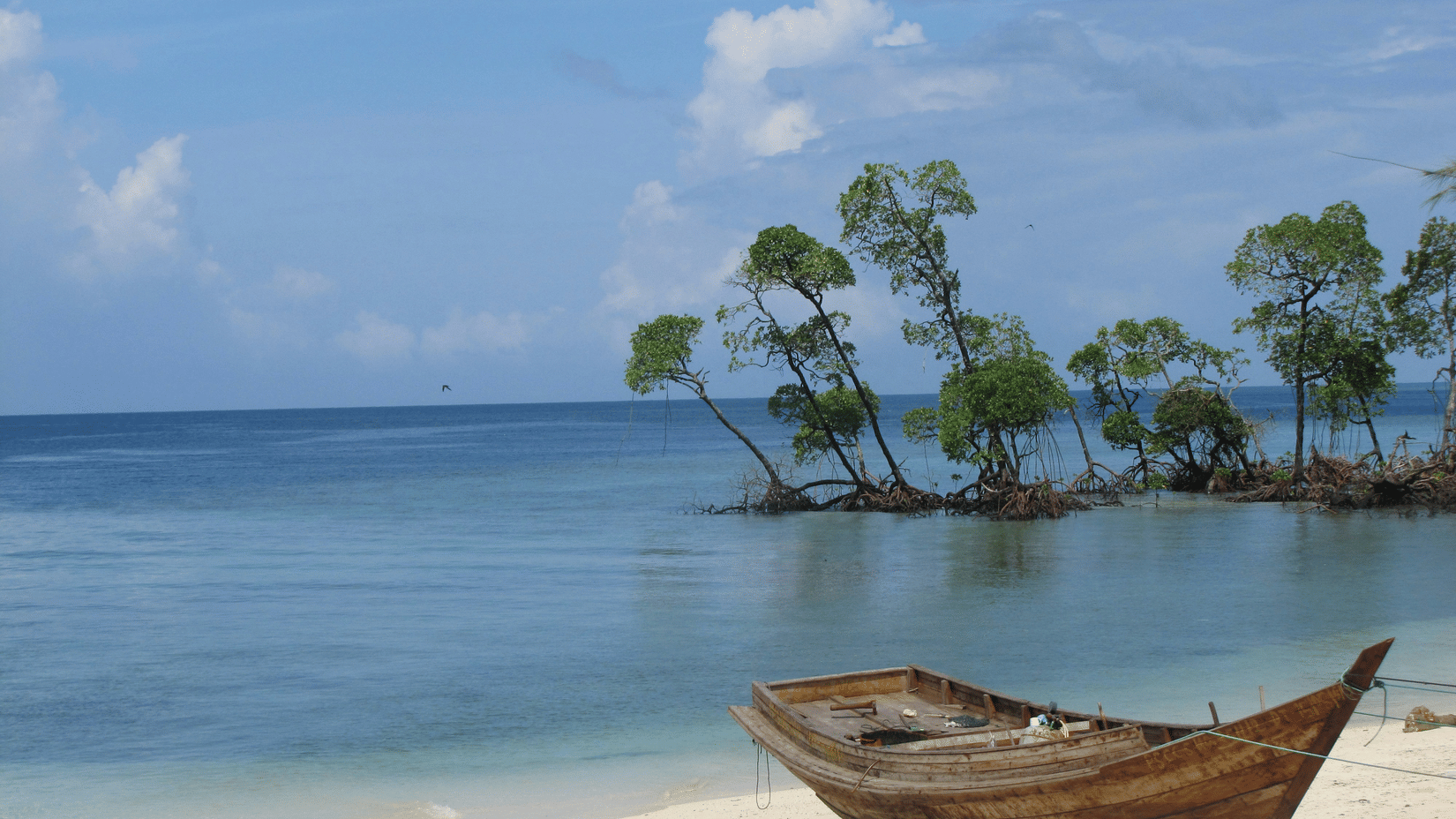 A wooden boat on the shore of an island in Havelock.