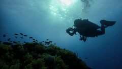 Scuba dive under water
