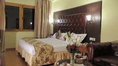 Superior Double King Size Hotel Ritz Plaza Amritsar