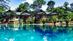 View of a swimming pool in front of luxury cottages, with lush green trees surrounding the area