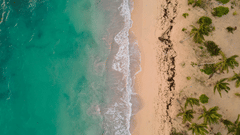 An aerial view of a beach with the waves splashing on the beach and palm trees on the coast.