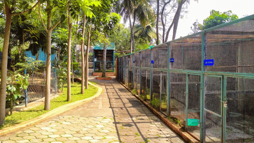 an overview of the Birds Park with a pathway on the side - Black Thunder, Coimbatore