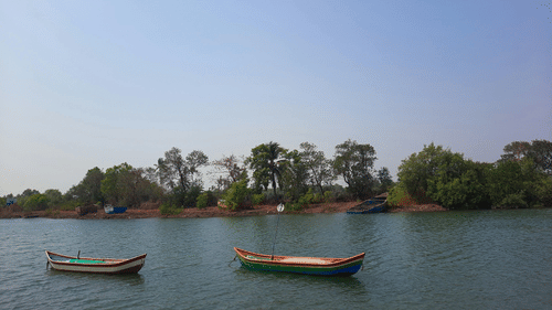A river with traditional wooden boats floating on it