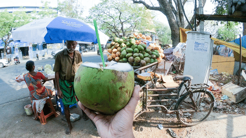 a POV shot of a person holding a tender coconut with people in the background